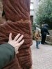 FAIRE BANDE#1 LA CANOURGUE (Lozère) ©DR-Ass.Pespective Nevski
